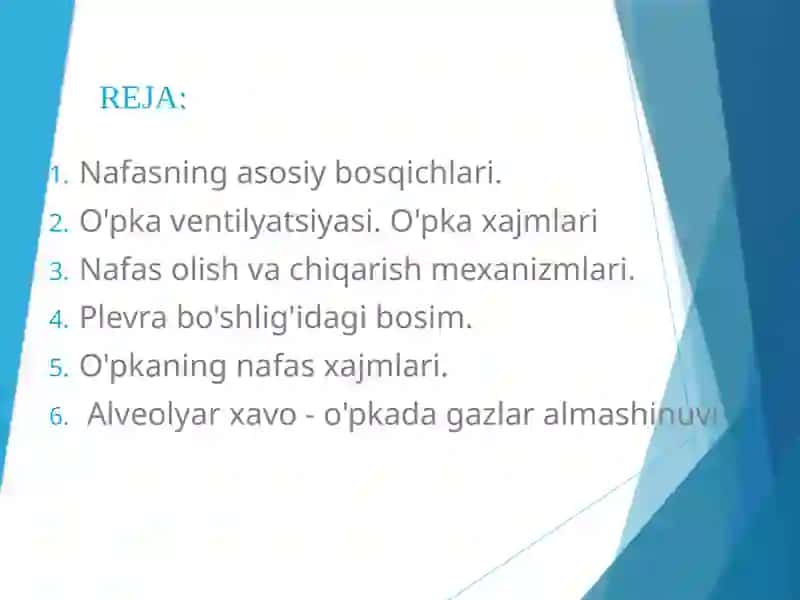 NAFAS FIZIOLOGIYASI 2