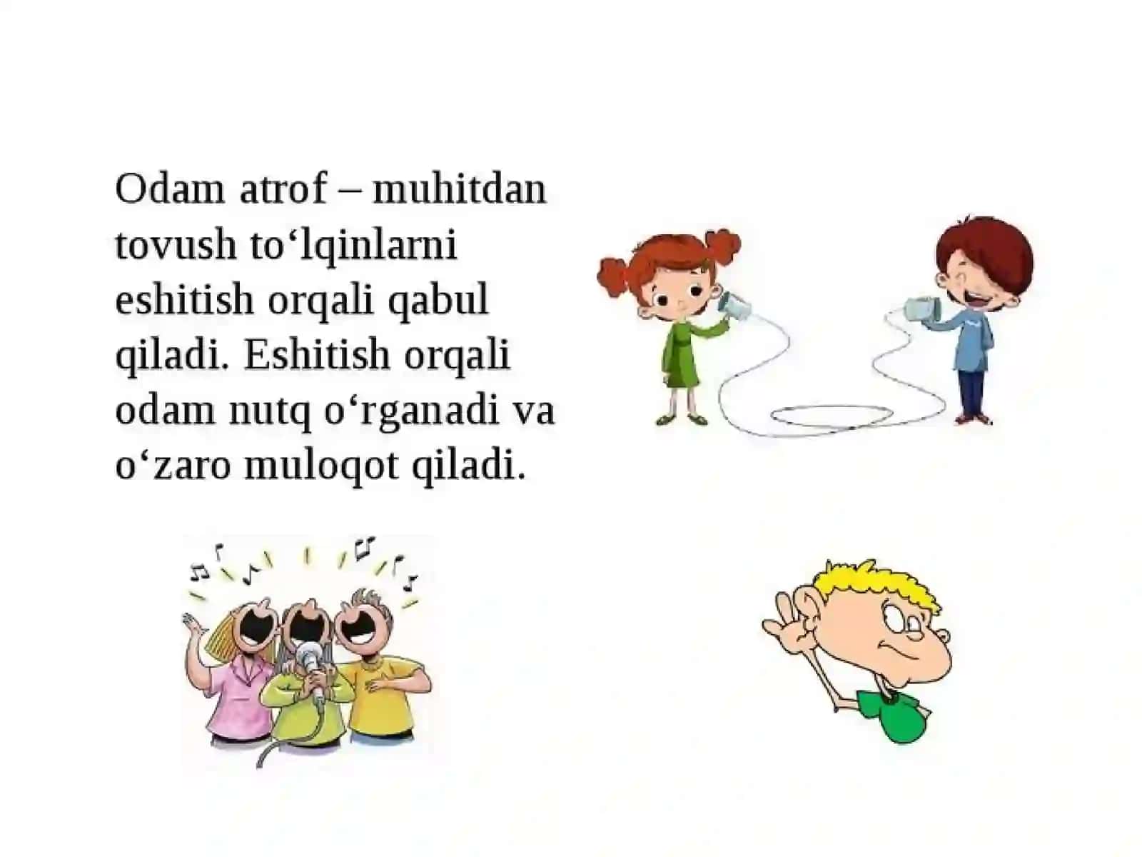 QULOQNING TUZILISHI 2