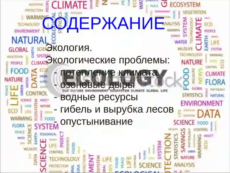 ЭКОЛОГИЧЕСКИЕ ПРОБЛЕМЫ СОВРЕМЕННОГО МИРА 2