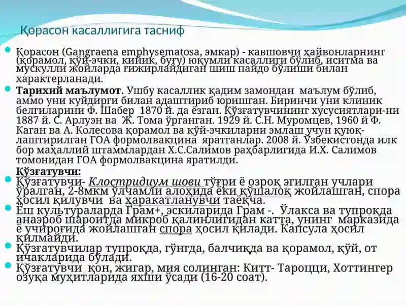 Қорасон касаллиги 2