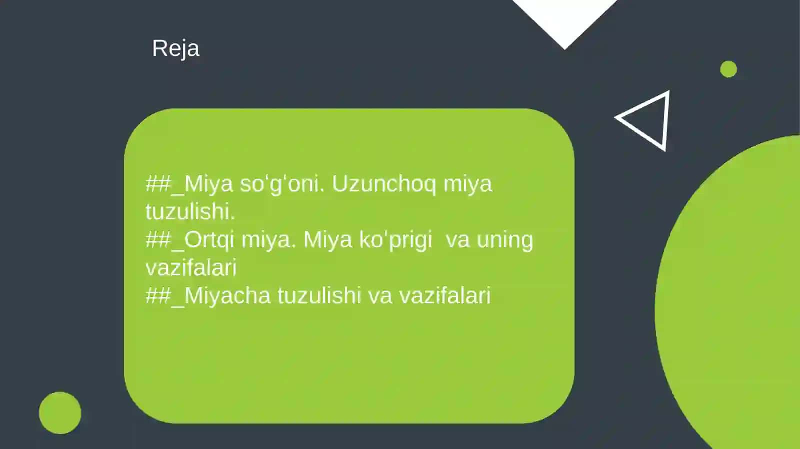 miya pogʻonasi anatomiyasi 2