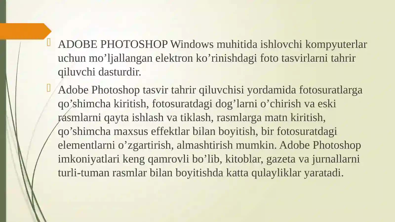 Adobe Photoshopgrafikdasturi 2