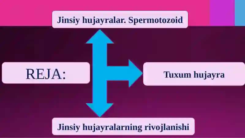 Jinsiyko‘payish 2