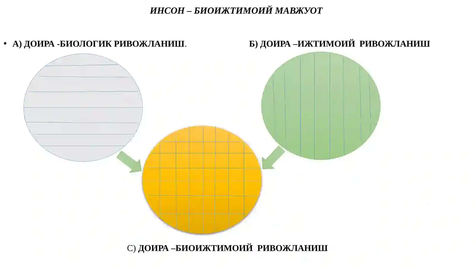 ИРСИЯТ ИНСОН ШАКЛЛАНИШИНИГ ОМИЛЛАРИ 2