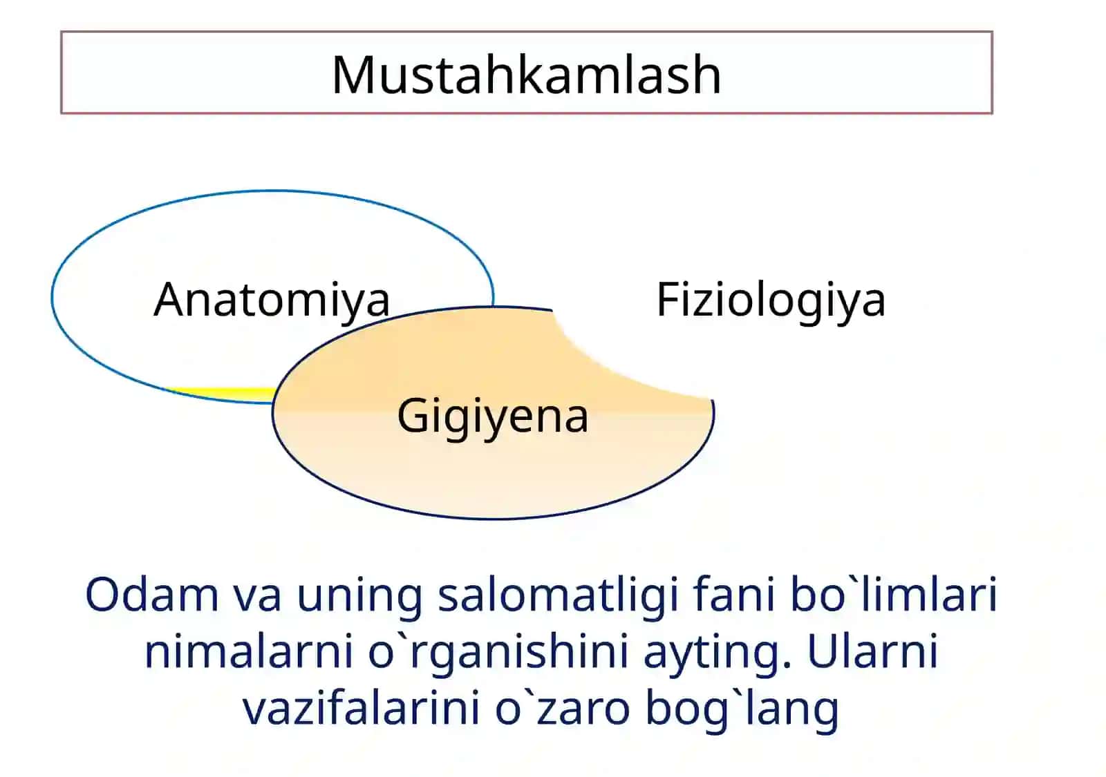 Odam organizmining hujayraviy tuzilishi 2