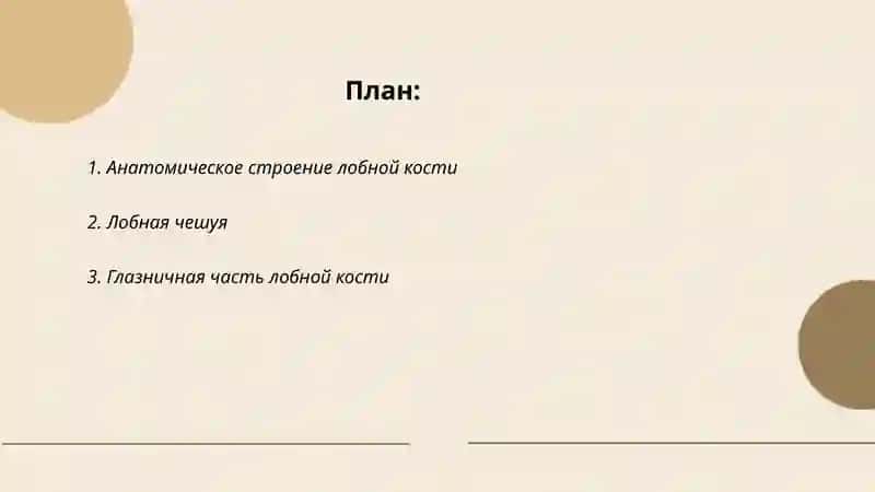 Лобная кость 2