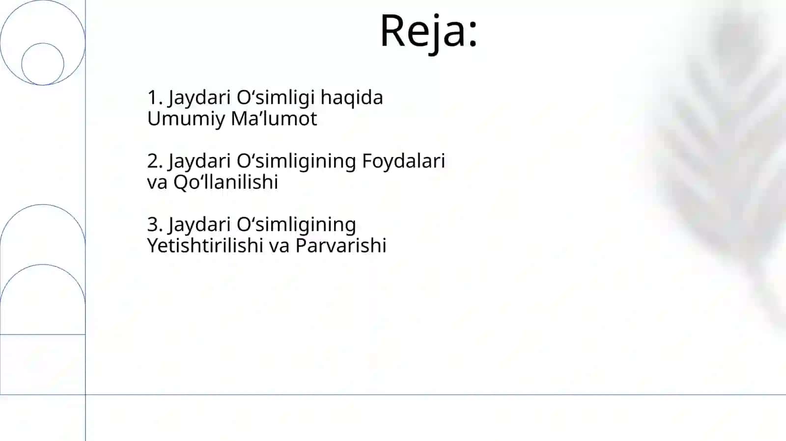 Jaydari no'xat o'simligi haqida 2