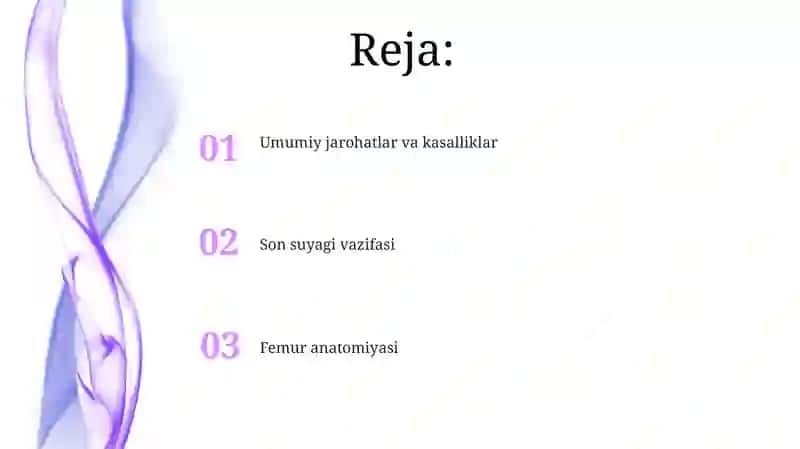 Son suyagi anatomiyasi 2