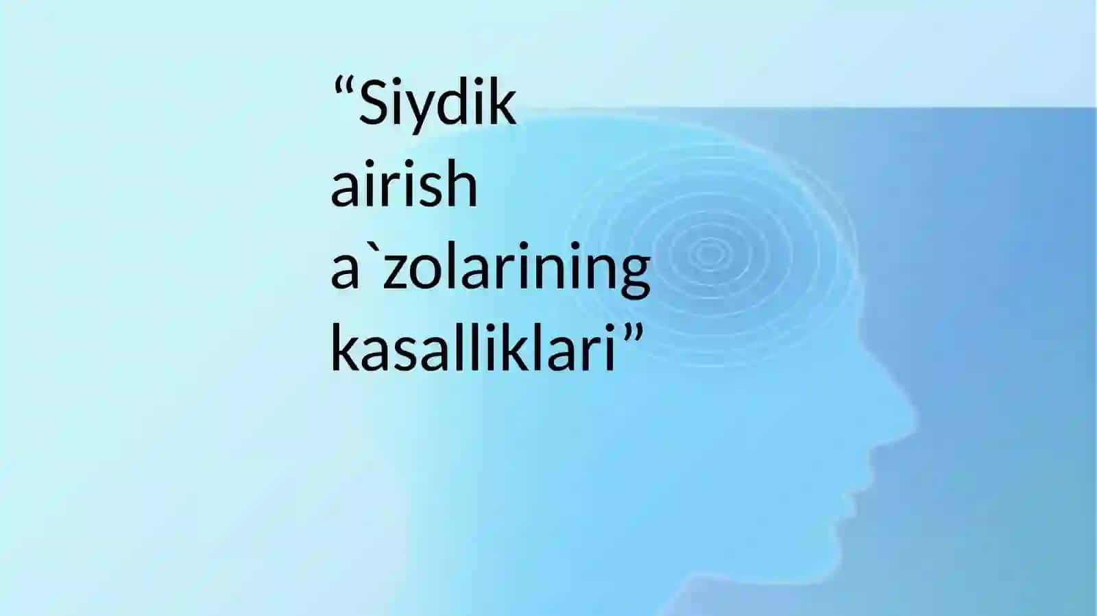 Siydikayirishtizimi 2