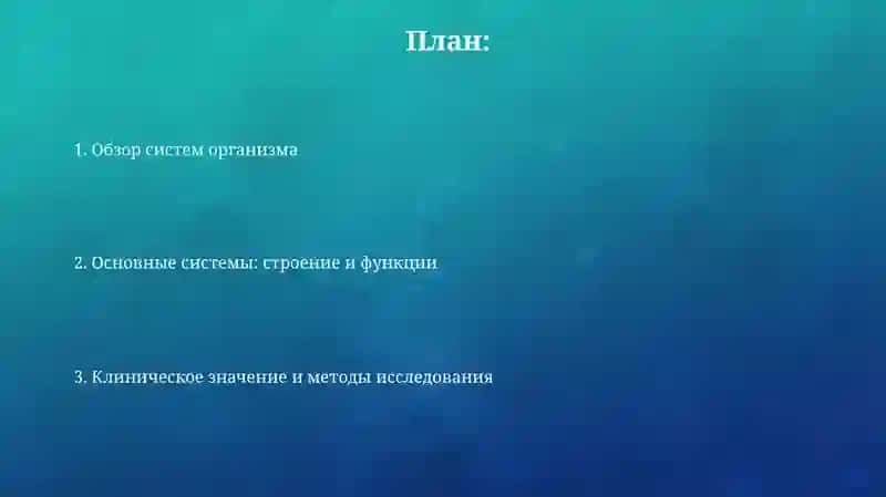 Анатомия человека 2