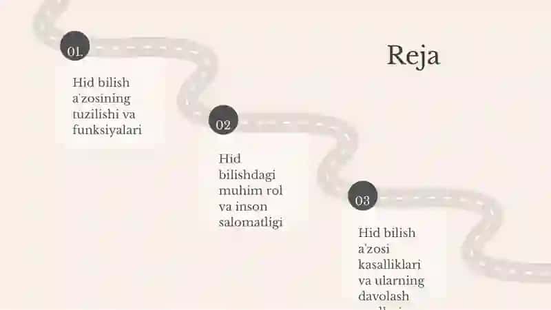 Hid bilish a'zosi 2