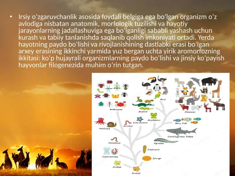 Hayvonot dunyosidagi evolutsion o‘zgarishlar 2
