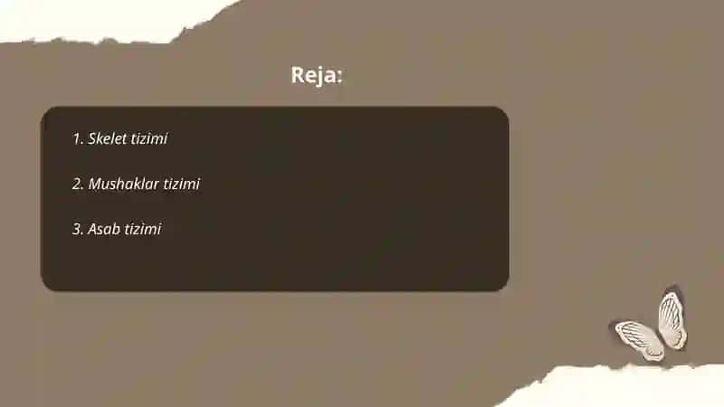 Odam anatomiyasi 2