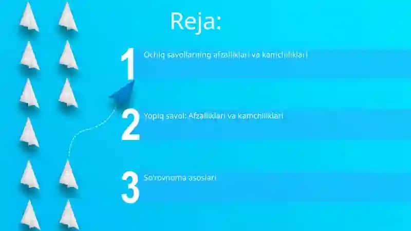 Anketa 2
