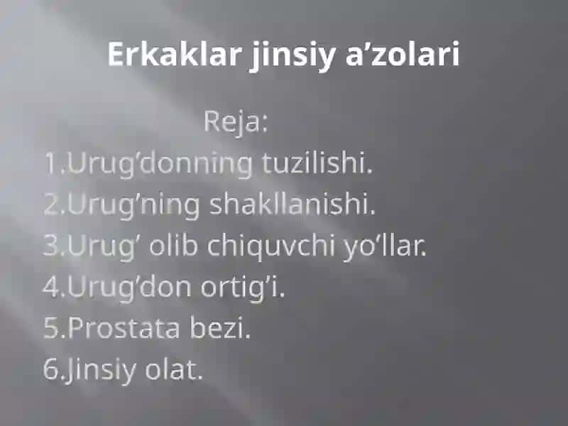 Erkaklar jinsiy a’zolari 2
