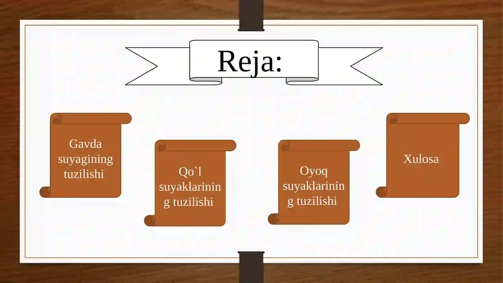 Gavda, qo'l, oyoq suyaklarning tuzilishi 2