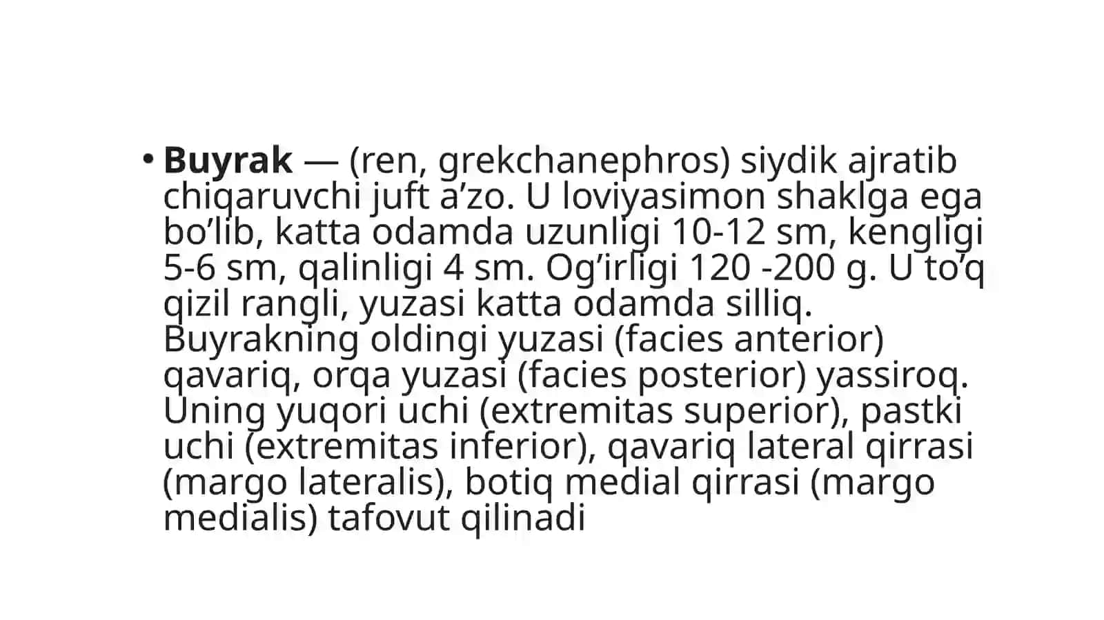 Buyrak va siydik yo‘llari anatomiyasi 2