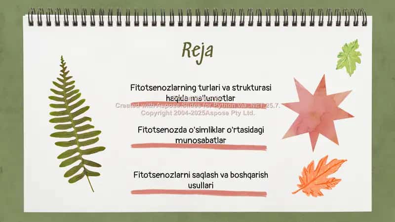 Fitotsenoz strukturasi 2