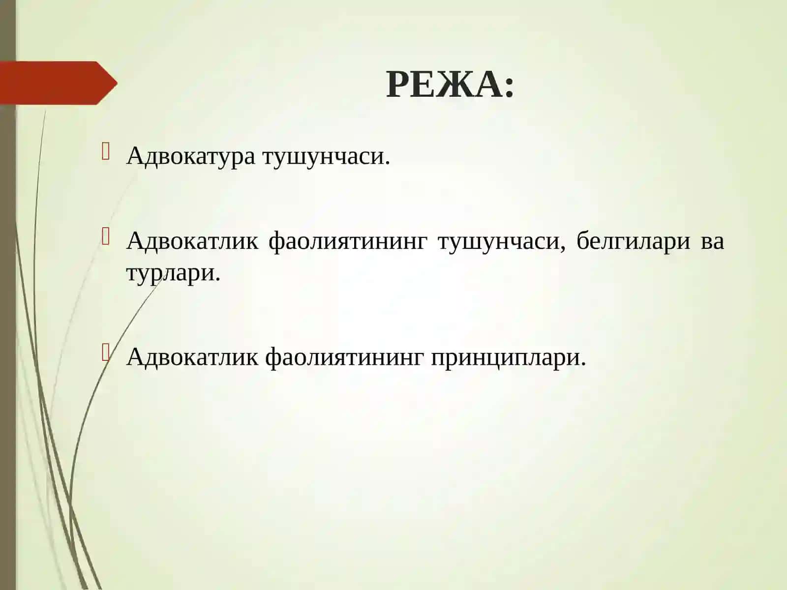 Адвокатура 2