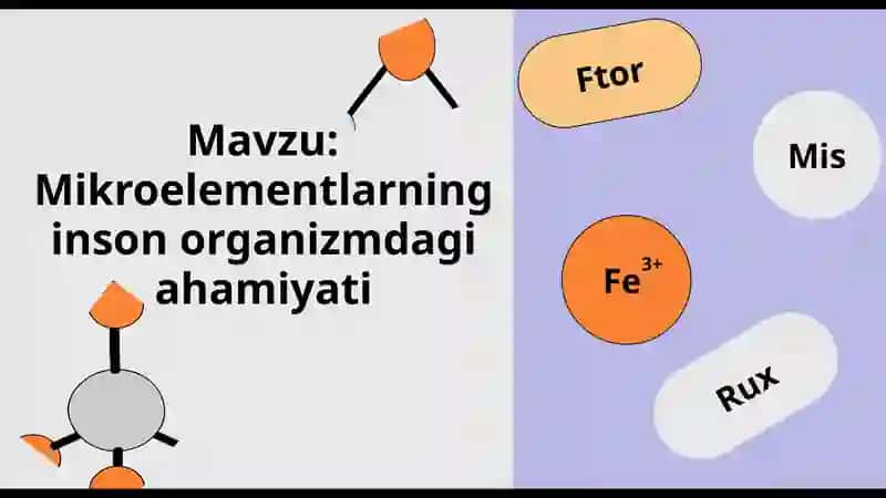 Mikroelementlar 2