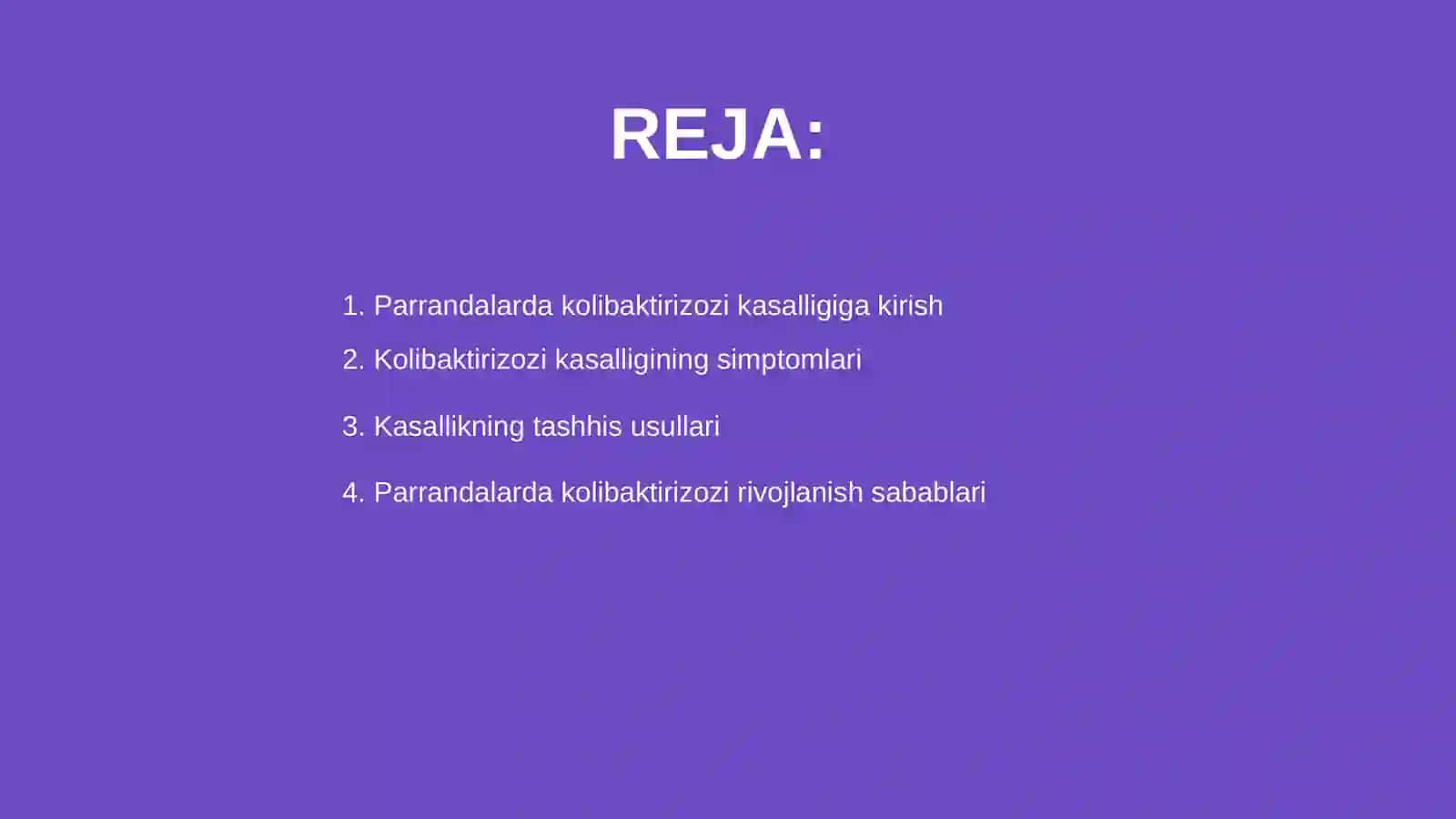 Parrandalarda kolibaktirizozi kasalligi 2