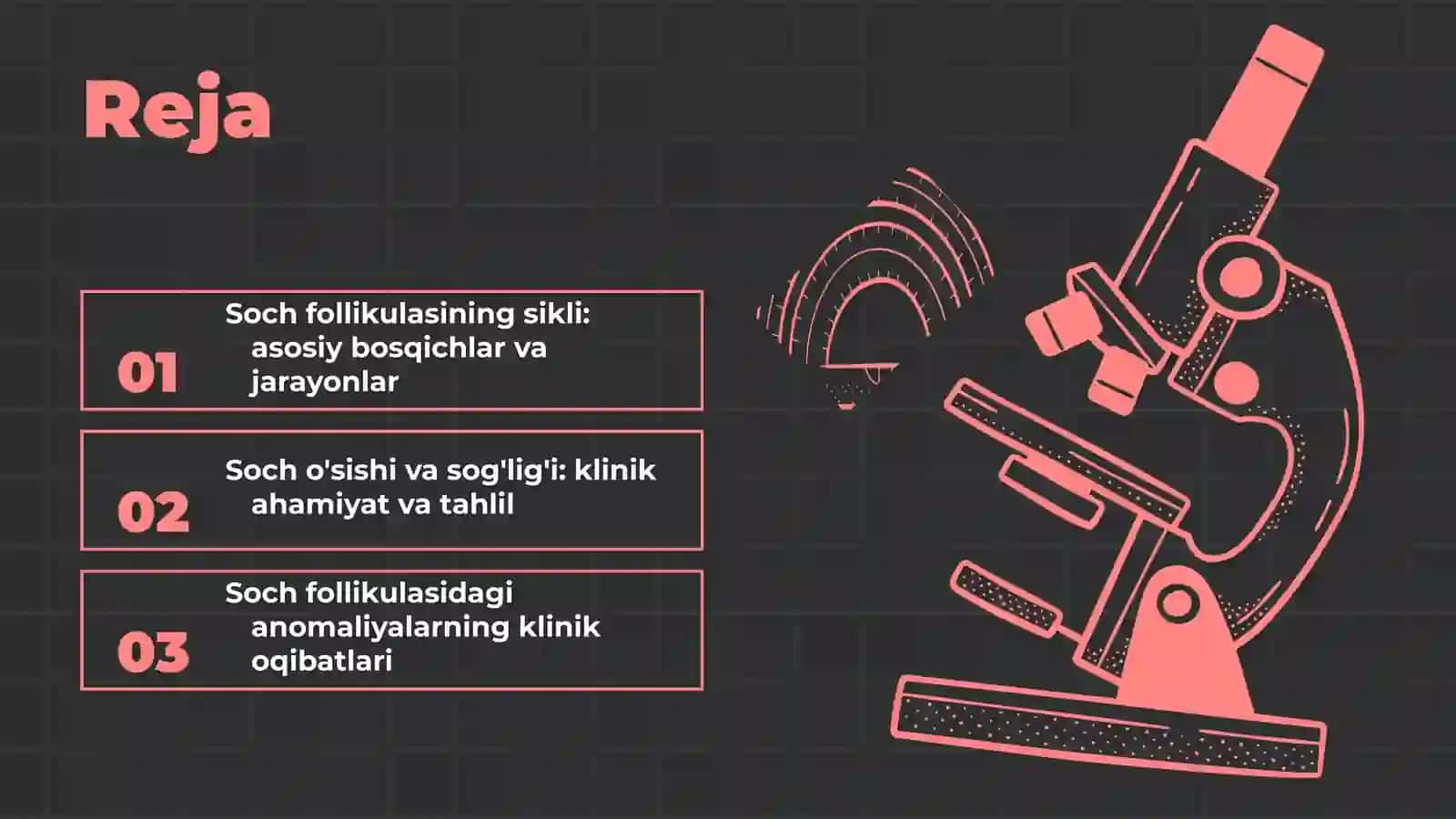 Soch Follikulasining Sikli va Klinik Ahamiyati 2