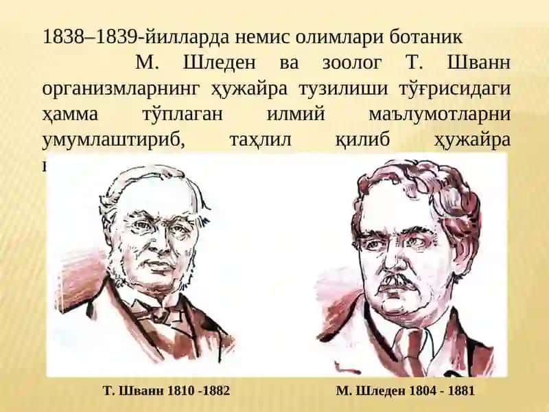 Ҳуҷайра биологиясини ўрганиш 2