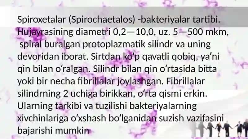 Spiroxetalar, rikketsiyalar, xlamidiyalar, mikoplazmalar, aktinomitsitlar, sodda jonivorlar 2