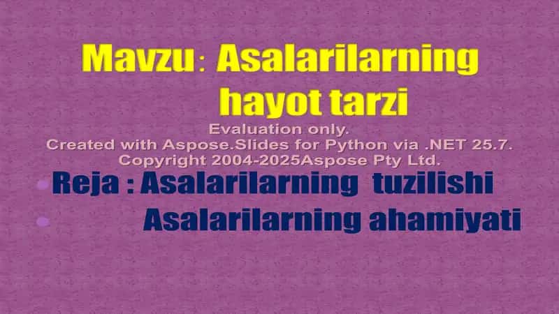 Asalarilarning Hayot Tarzi Haqida Taqdimot 2