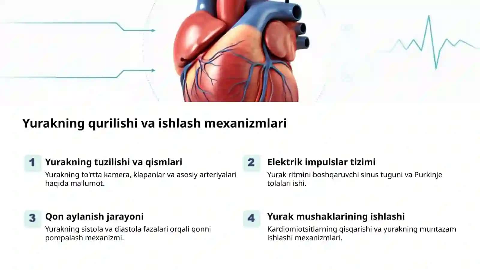 Yoshlar qon aylanishi va gigiyenasi 2