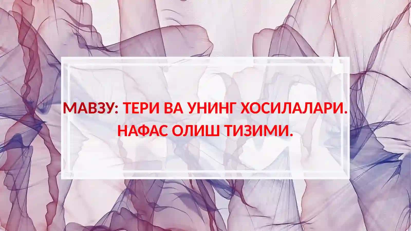 Тери ва унинг хосилалари 2