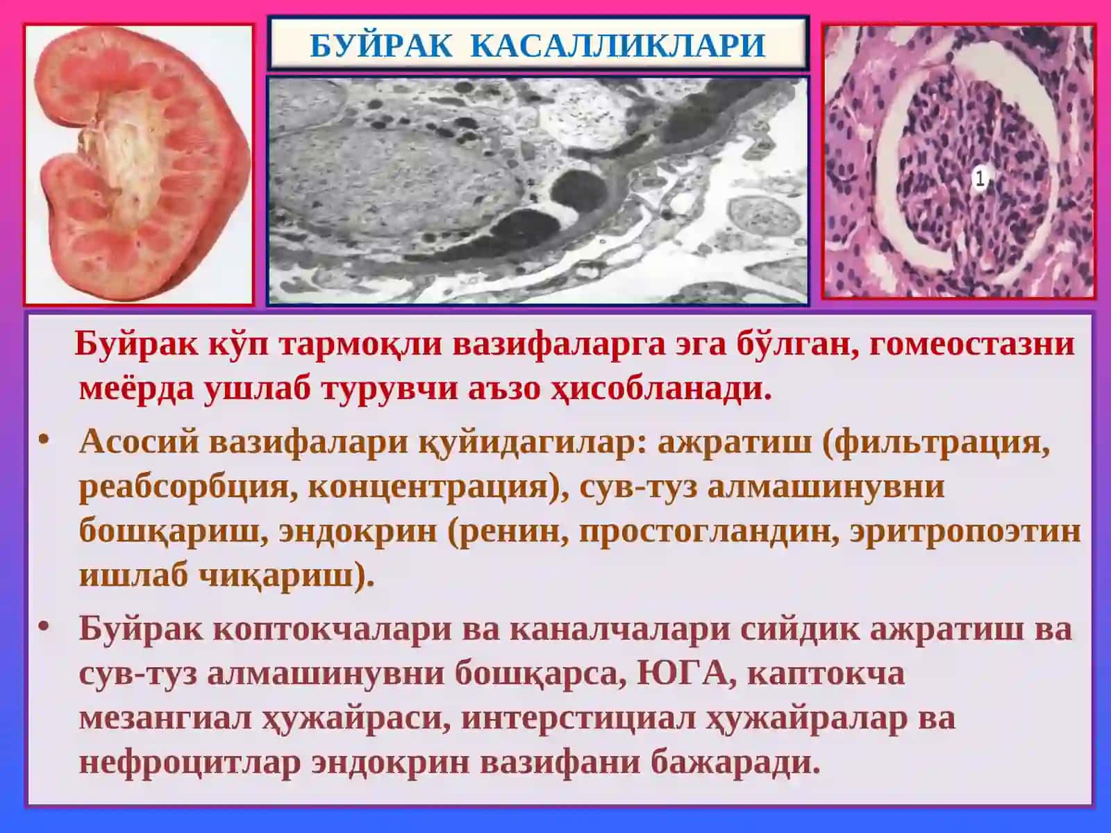 Буйрак касалликлари 2