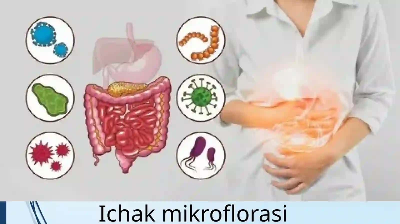 disbakterioz  va uni tekshirishni yangi usullari 2