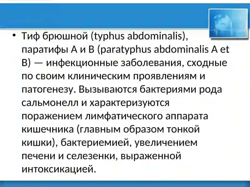 Брюшной тиф 2
