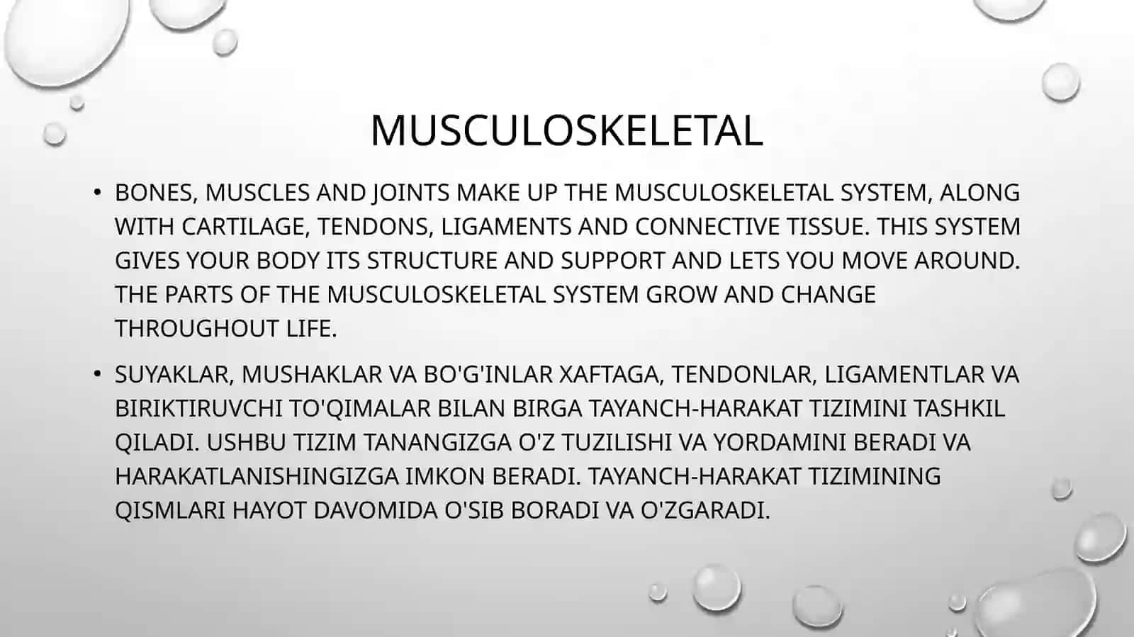 Musculoskeletal 2