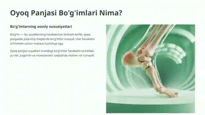 Oyoq Panjasi Bo'g'imlari 2