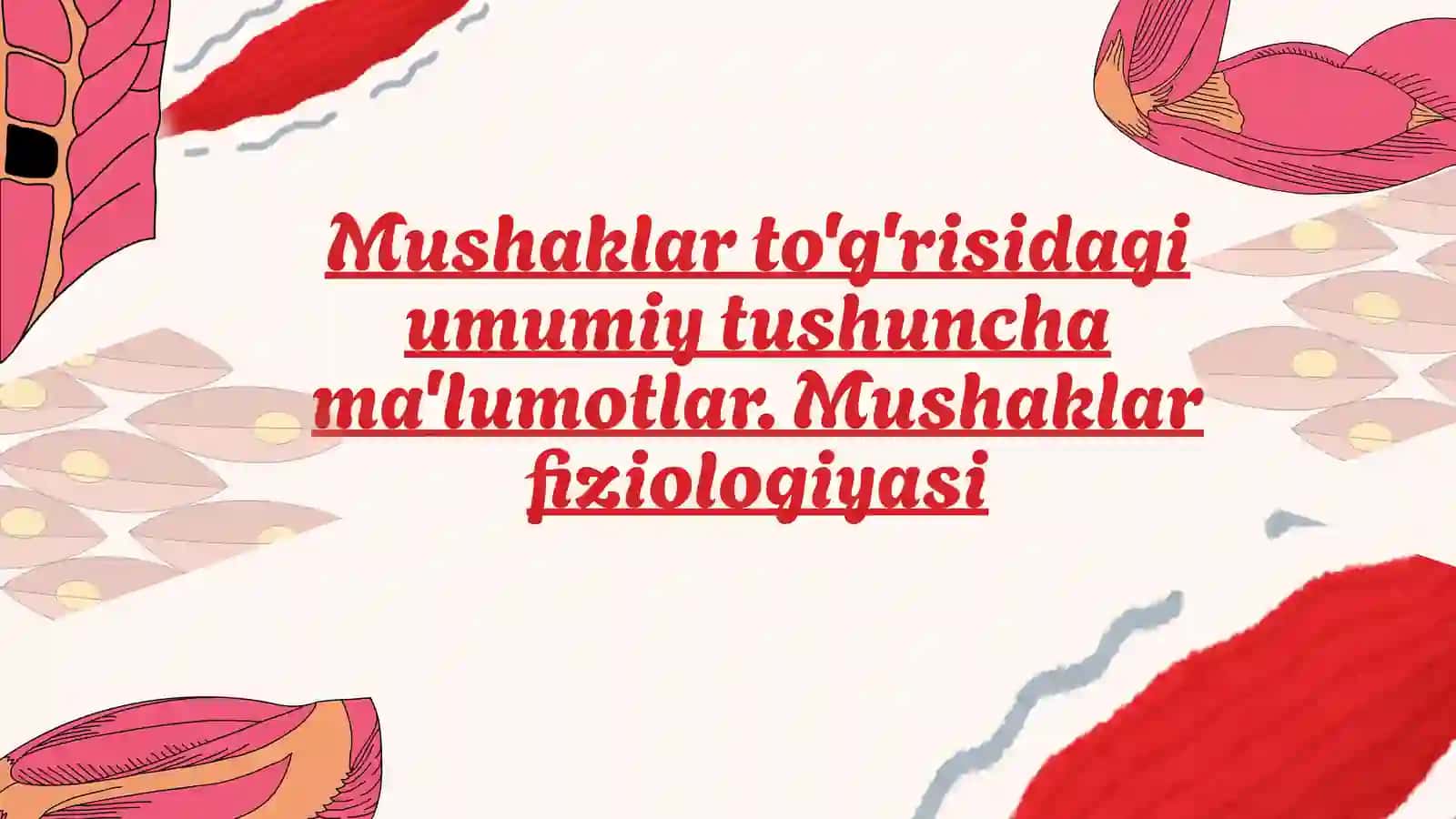 Mushaklar fiziologiyasi 2