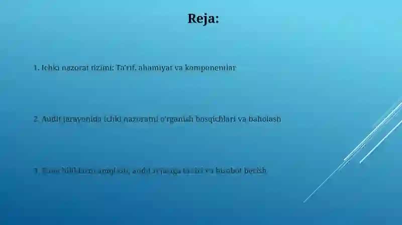 Ichki nazorat tizimi: Ta'rif, ahamiyat va komponentlar 2