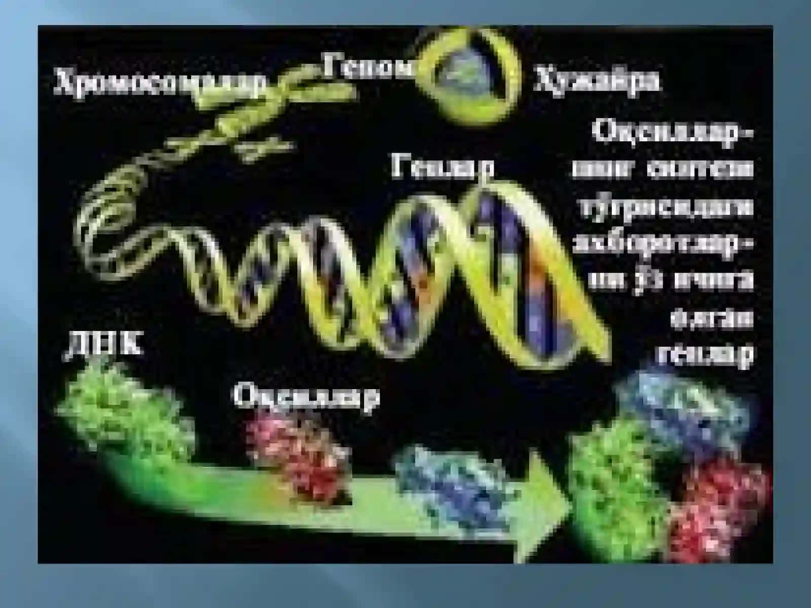 Оксил-витаминли препаратлар ишлаб чикариш 2