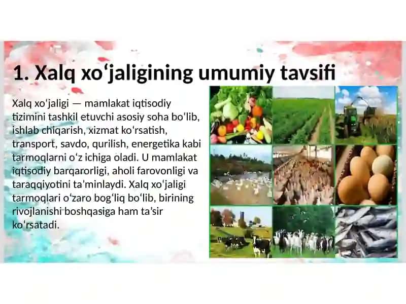 Xalq xo‘jaligining turli sohalari va tarmoq texnologiyalaridan foydalanish yo‘llari 2