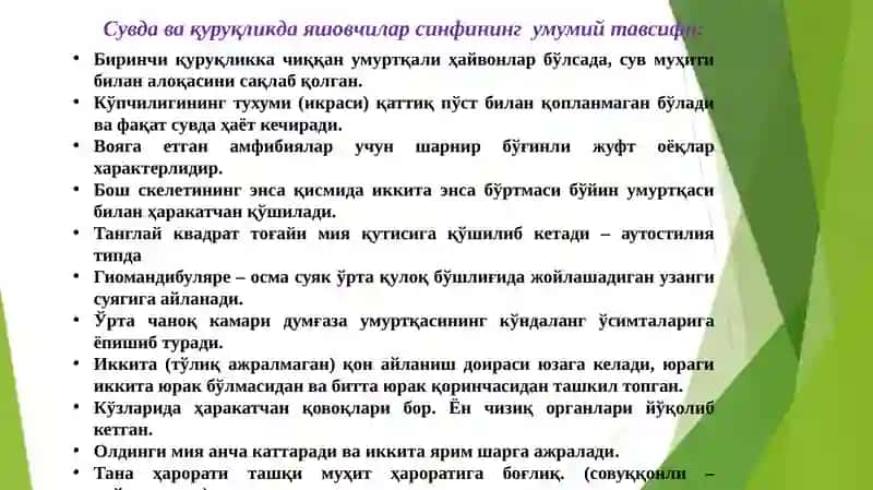 Amfibiyalarning sistematisi 2