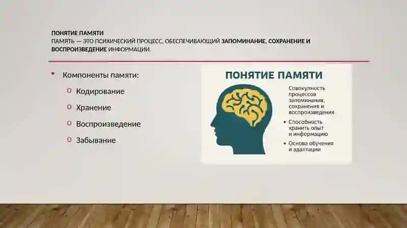 Память. Развитие, старение и распад 2