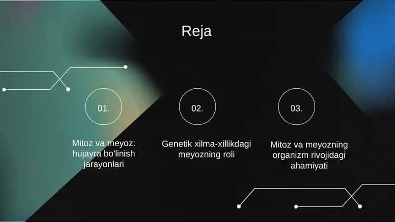 Mitoz va meyozning biologik ahamiyati 2