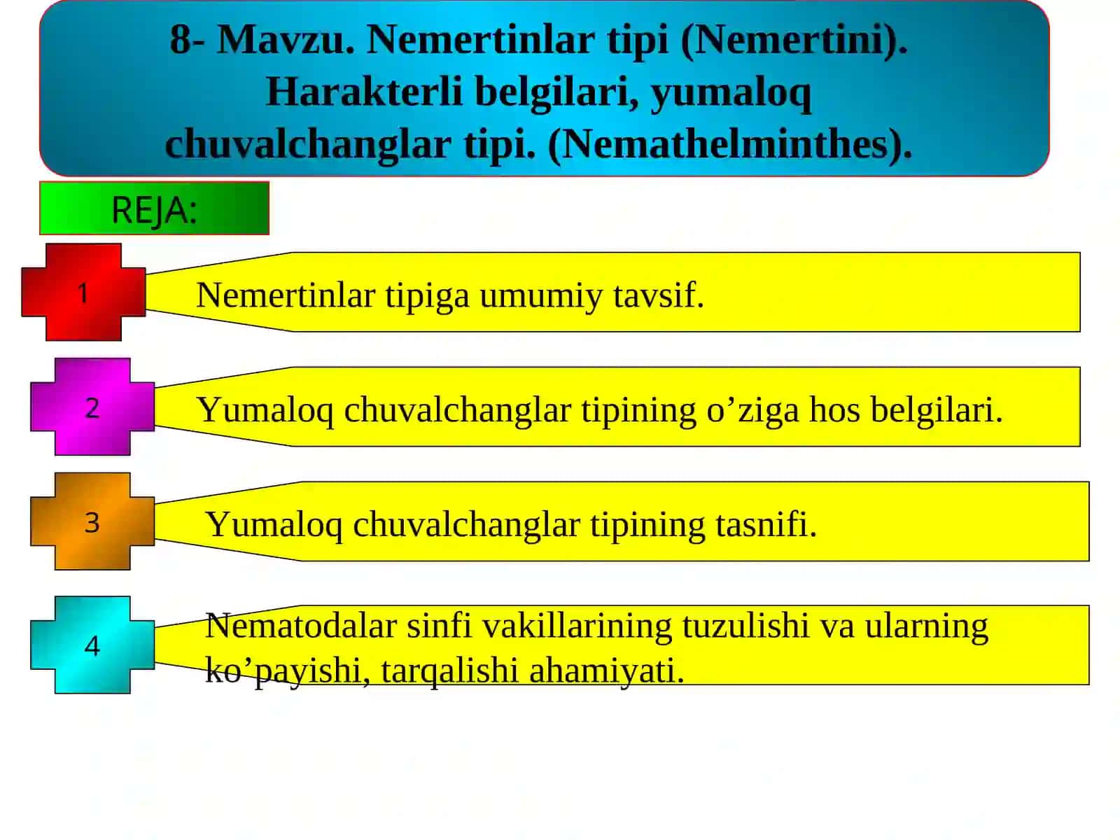 Nemertinlar tipi (Nemertini) 2