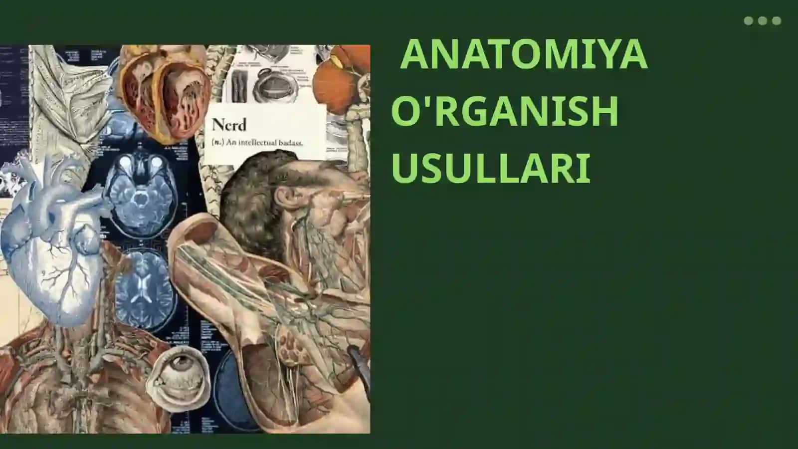ANATOMIYA O'RGANISH USULLARI 2