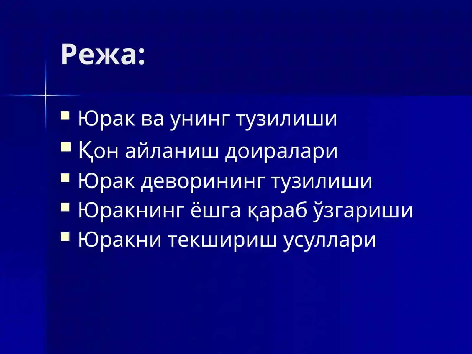 Юрак тузилиши 2