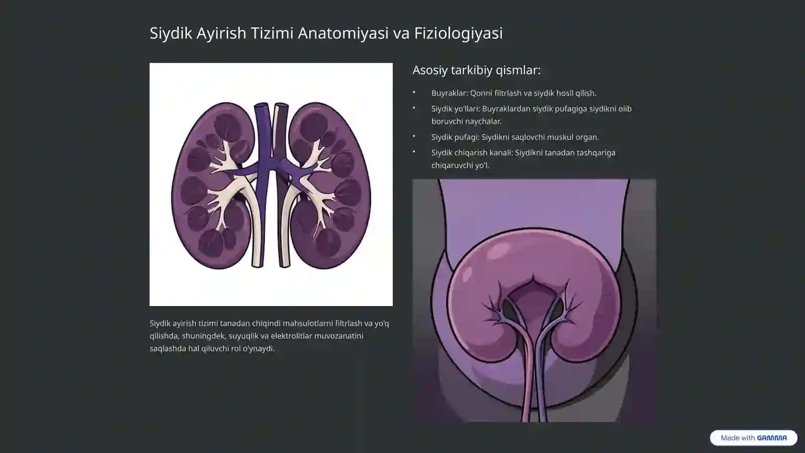 Siydik Ayirish A'zolari Kasalliklari: Tushunish va Oldini Olish 2