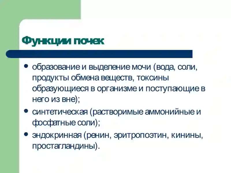 Патофизиология почек 2