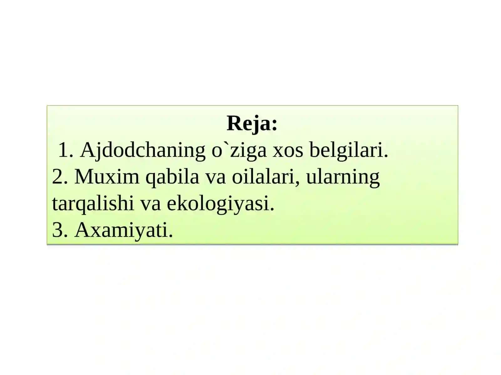 Ayiqtovonkabilarajdodchasi 2