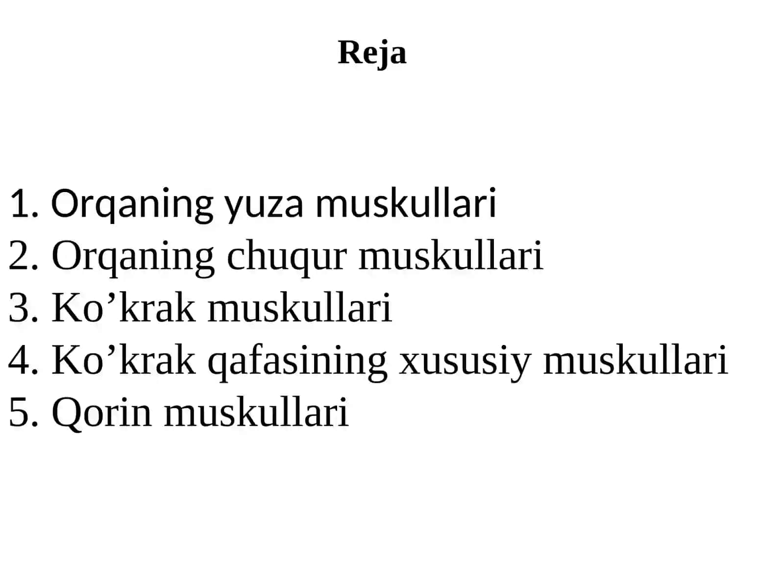 Gavda muskullari 2
